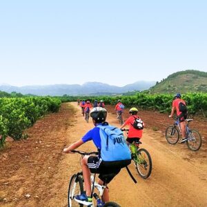 ruta en bicicleta entre viñedos
